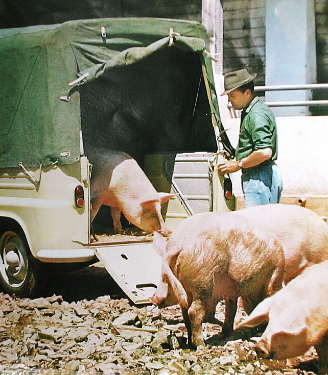 Estafette Pick-up